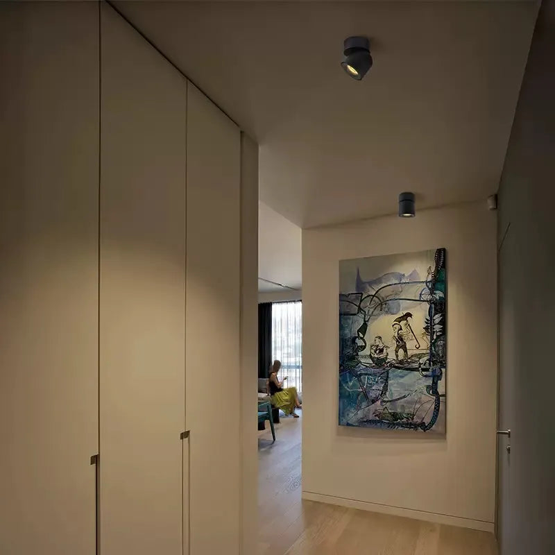 Lampada LED da Soffitto Rotante Design 3D Creativo