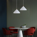 Luce a ciondolo a forma di pranzo a forma di cono nero - clowasit.com
