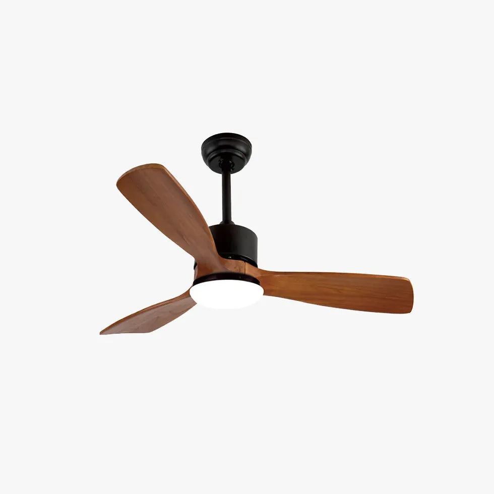 Ventilatore vortice con luce in camera - clowasit.com