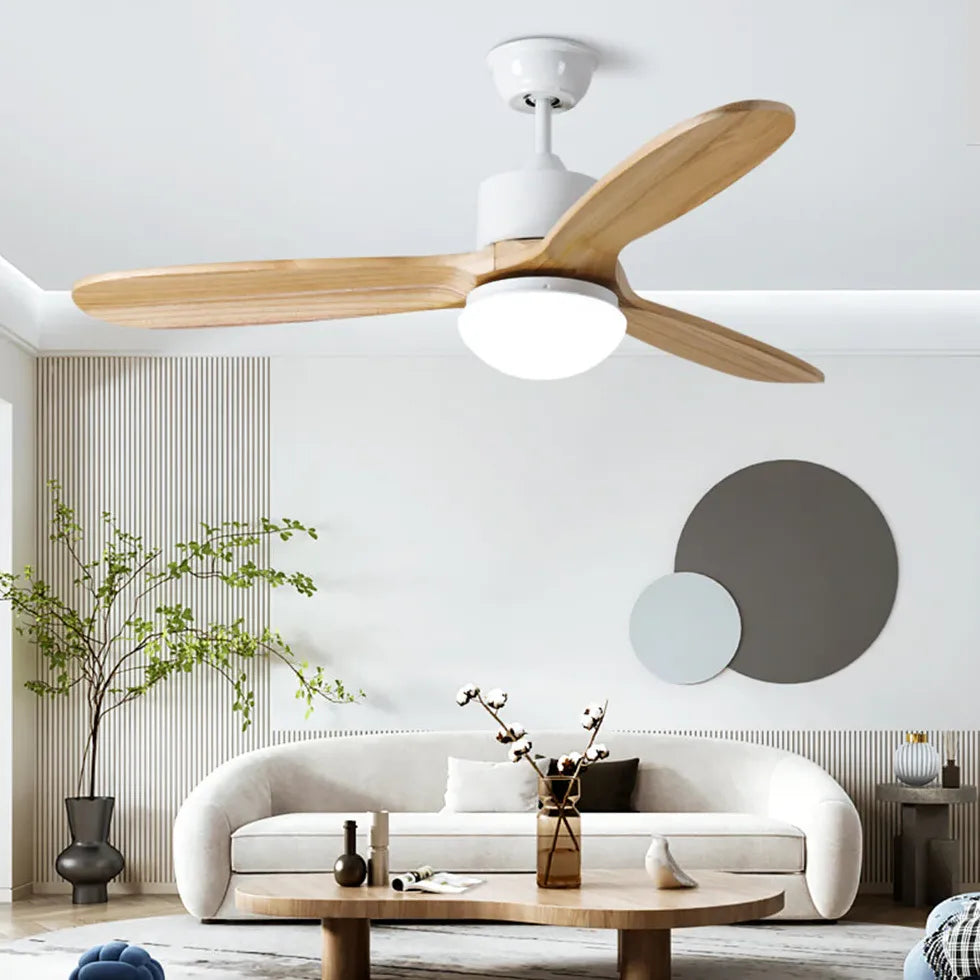 Ventilatore vortice con luce in camera - clowasit.com