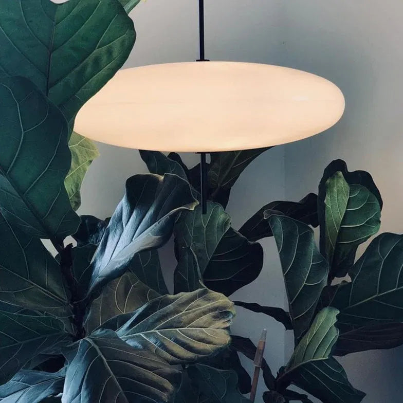 Lampadari sospensione design moderno Luce calda ellittica - clowasit.com