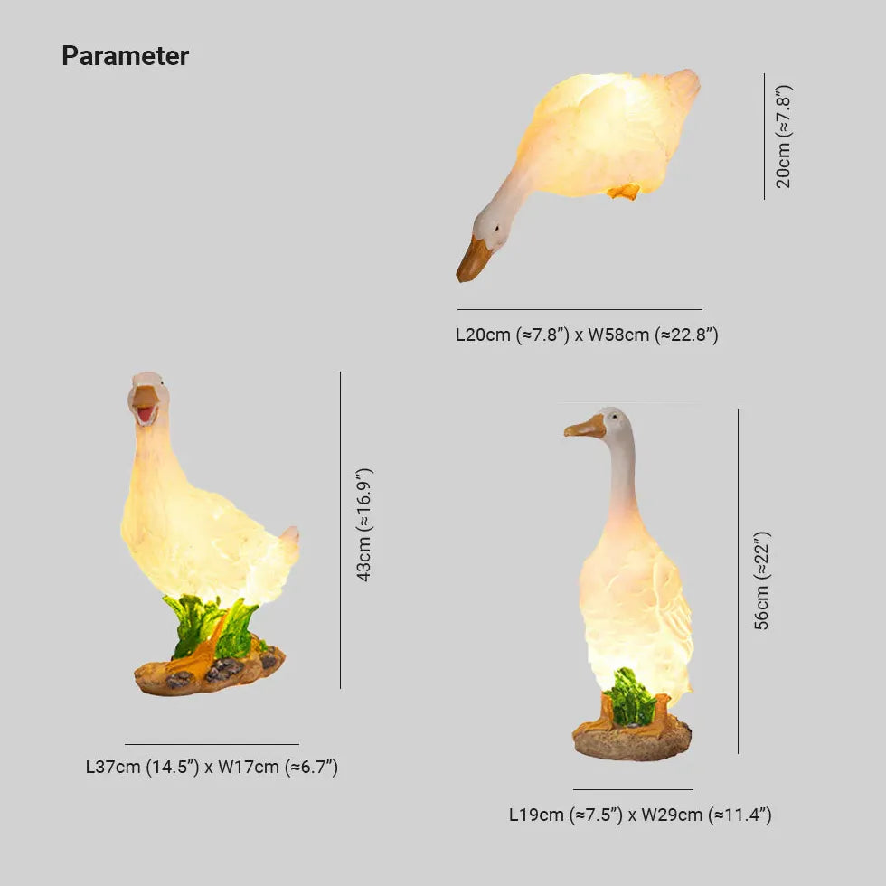 Luci da pavimento per esterni giardino oche - clowasit.com