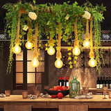 Lampadari moderni con lampadine e piante verdi - clowasit.com