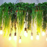 Lampadario con piante per sala da pranzo - clowasit.com