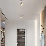 Faretto da soffitto regolabile con luce concentrata - clowasit.com