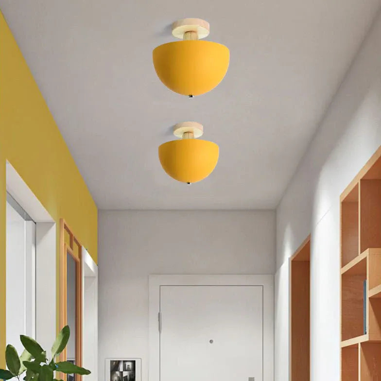 Lampadari plafoniera elegante per corridoio semicircolare - clowasit.com