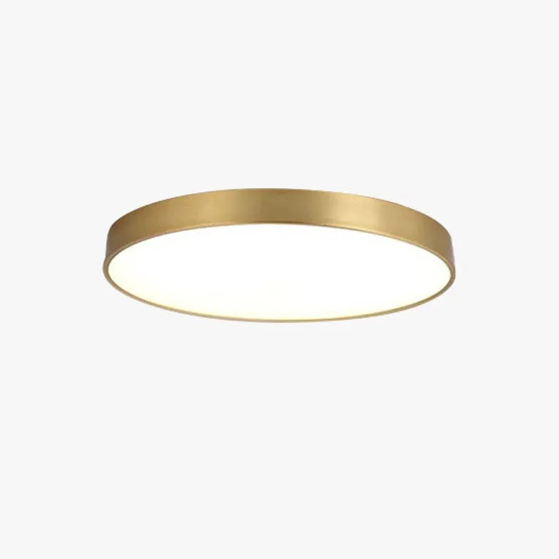 Plafoniera da corridoio Metallico Semplice e Moderno - clowasit.com
