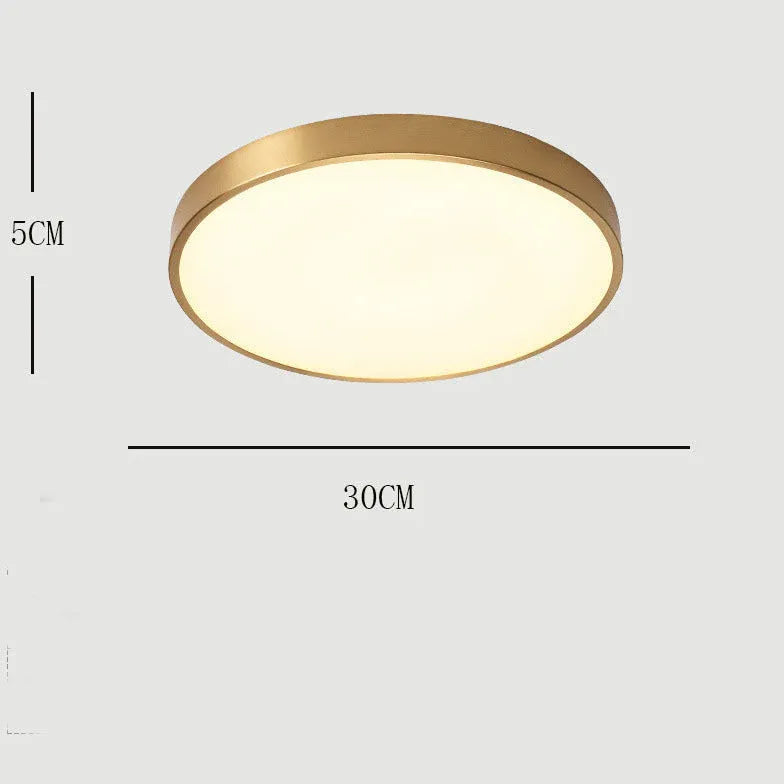 Plafoniera da corridoio Metallico Semplice e Moderno - clowasit.com