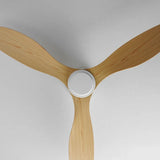 Lampadario con ventilatore e telecomando tre foglie - clowasit.com